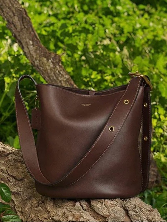 Coach Brown Leather Bucket Shoulder Bag with Gold-Tone Hardware